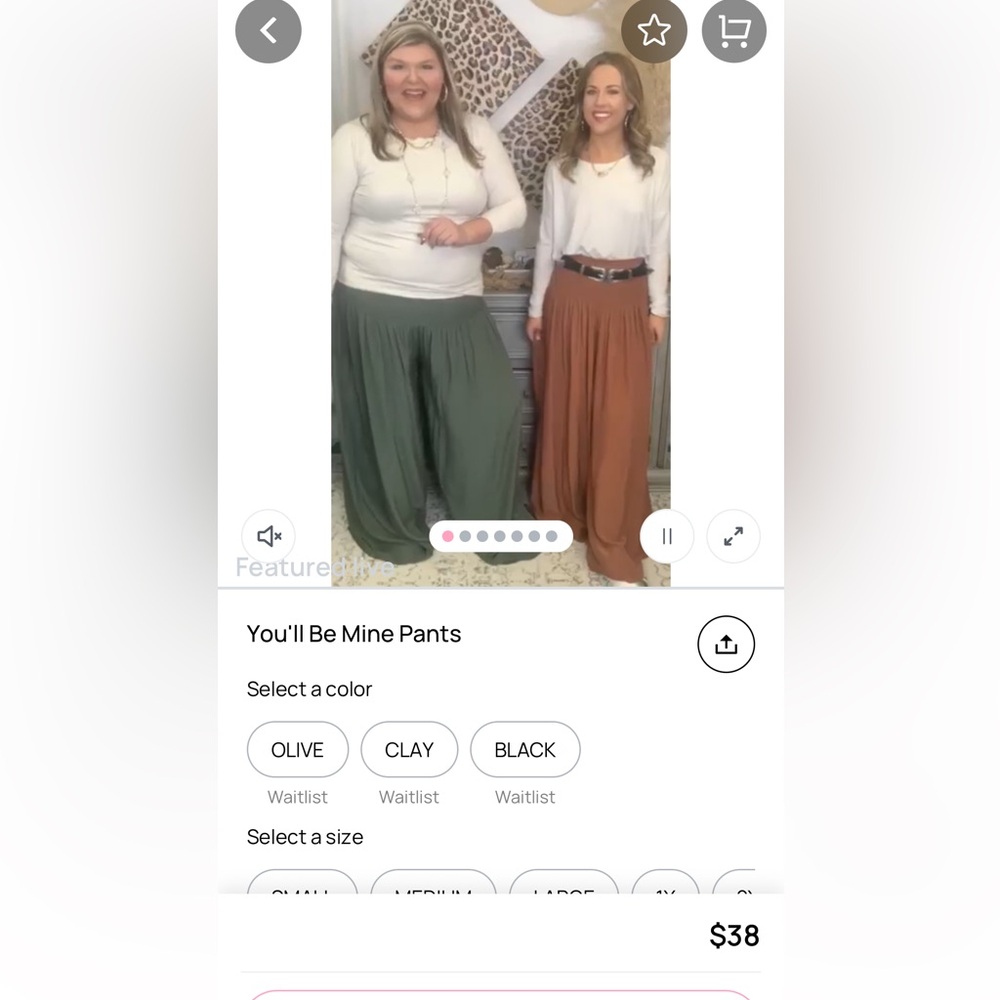 Heyson Palazzo Pants 1x - Picture 2 of 2